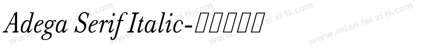 Adega Serif Italic字体转换